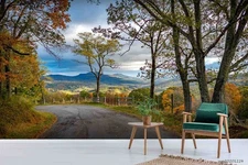 3D Mountain Trees Road Self-adhesive Removeable Wallpaper Wall Mural 200