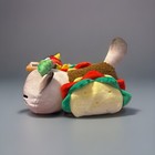 Foto 2 di 6