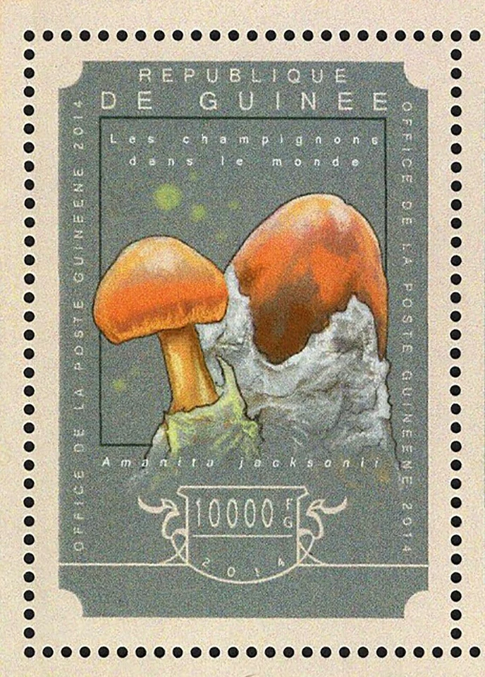 Mushrooms Stamps Lactarius Indigo S/S MNH #10787-10790 - Image 3 of 4