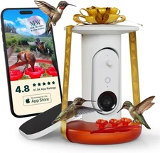 Birdbuddy Smart Solar Pro Hummingbird Feeder with Camera - AI Bird Identificatio