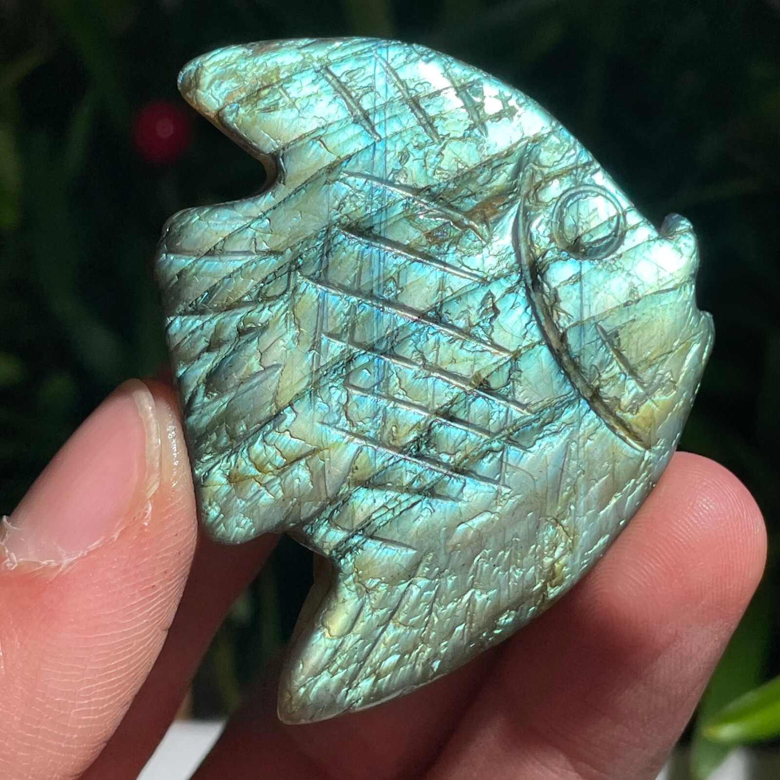 1pcs Natural Labradorite Octopus Fish Quartz Crystal Skull Carved Figurines