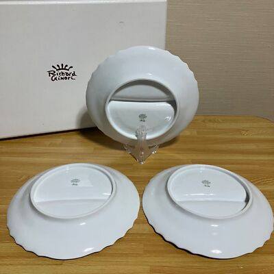 Richard Ginori Vecchio White Plate & Dish Set of 6 Pieces with Box