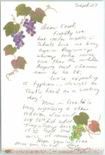 Postcard - Grapevine Print - Posted Postcard