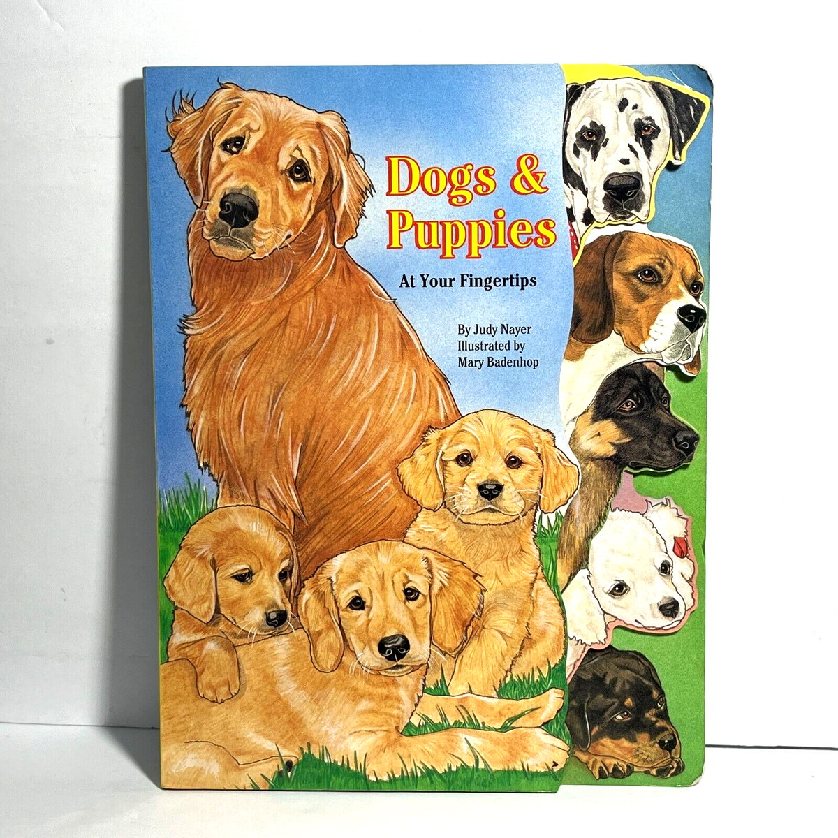 Dogs and Puppies at Your Fingertips Board Book Vintage