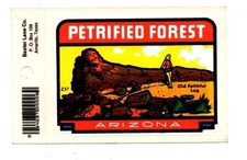 Lot of 12 Petrified Forest Arizona Luggage Decals Stickers - New - Free S&H