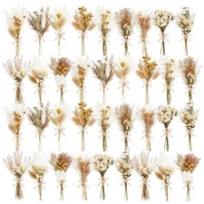 10/12/24/36 Pack Mini Dried Flowers for Vase Wedding Various Mini Bouquet Dri...