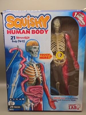 Smart Lab Squishy Human Body With 21 Removable Body Parts & Anatomy Book 