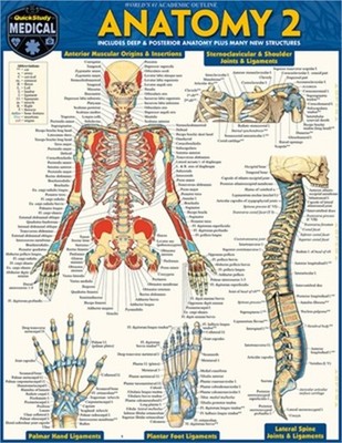 Anatomy 2: Includes Deep and Posterior Anatomy and Any New Structures (Poster)