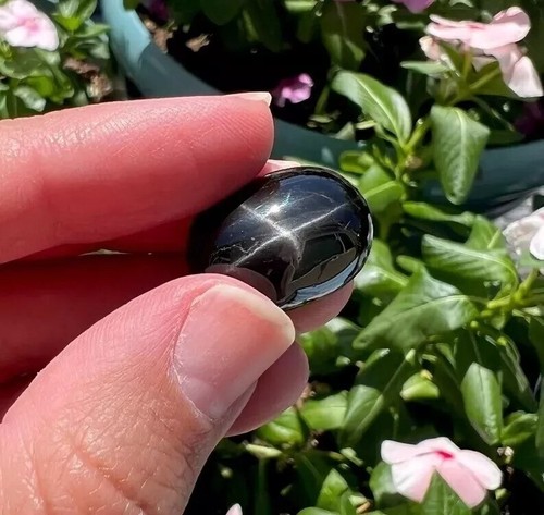 Black Star Sapphire Sri Lanka 4 Rays 10.00 Ct Oval Cabochon Natural Gemstone - Picture 6 of 6