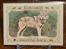 2021 Topps Allen and Ginter Rallying Back #RB1 Gray Wolf