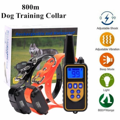 Collar de Entrenamiento para Perros Impermeable 800m Recargable Descarga Eléctrica Pantalla LCD