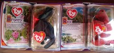 6 Teenie Beanie Babies Still in Original Packing 