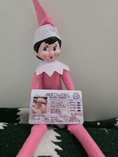 Pink Elf on the Shelf Girl Doll + Santas Driv...