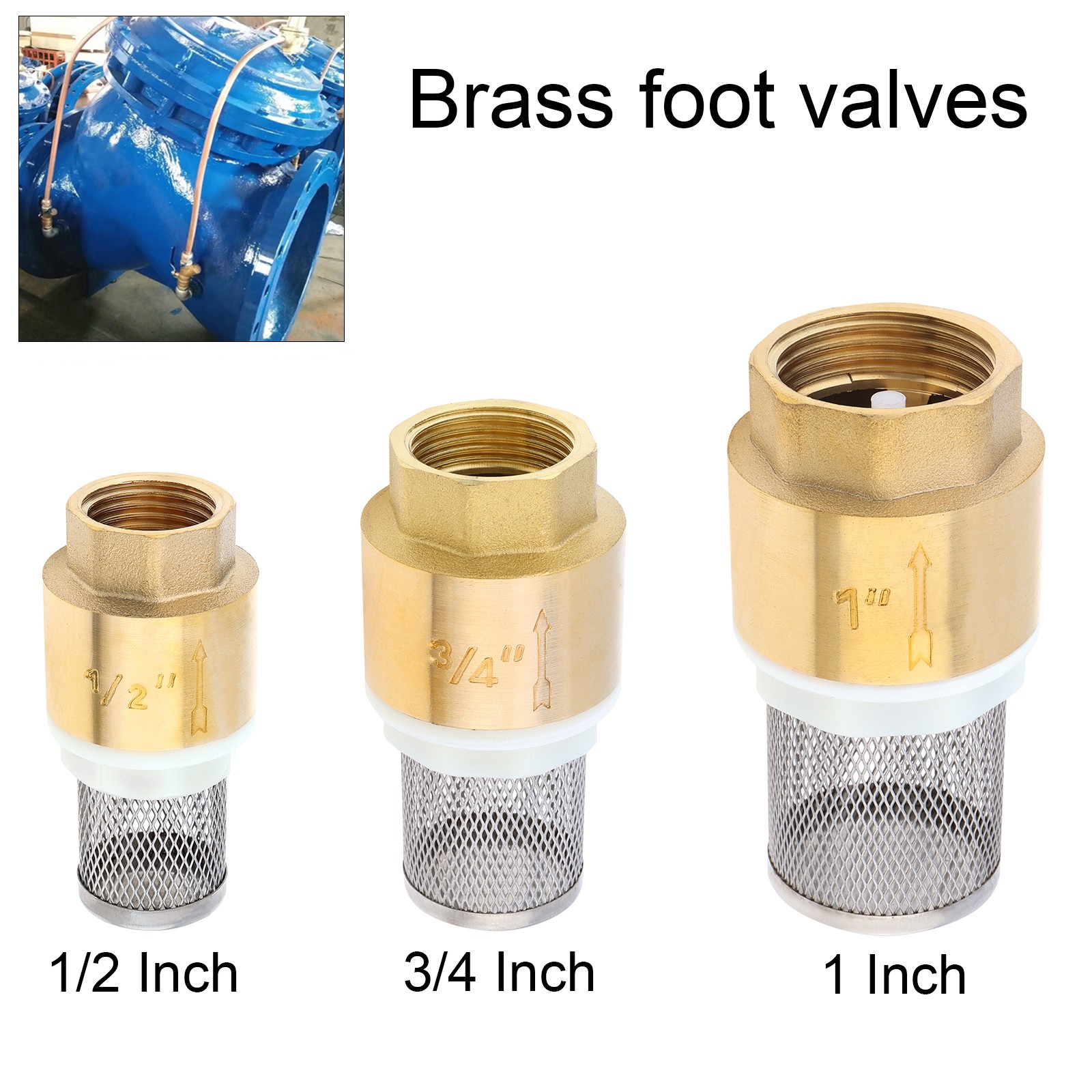 1 inch Brass Foot Valve Water Pump Bottom Valve with Filter, 1.6 MPa Rating