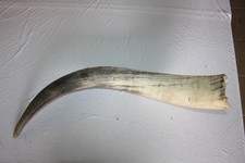 Longhorn, Horn, Stiergeweih Deko, Vintage, Wilder Westen