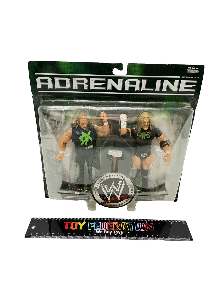 Jakks Adrenaline Series 24 WWE SHAWN MICHAELS & TRIPLE H Action