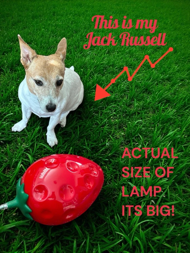 FRUIT STRAWBERRY LARGE LAMP BY URBAN OUTFITTERS NEW UK PLUG E14/4W - Image 2 of 4