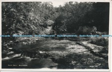 R025613 Fairy Dell Buckden Walter Scott RP