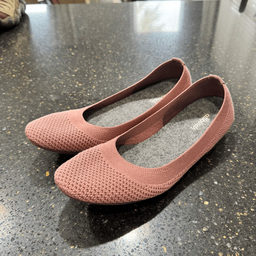 Allbirds Tree Breezer.