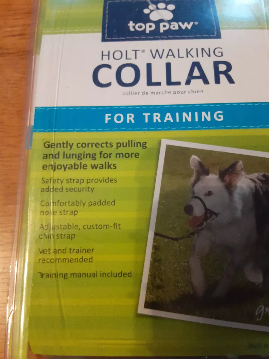 Top paw top holt walking collar