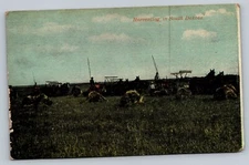 c1915 Harvesting In South Dakota Horse Drawn Equipment Farming Vintage Postcard