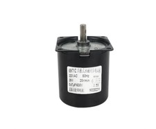 220V AC Permanent Magnet Synchronous Motor, Forward/Reverse, Miniature