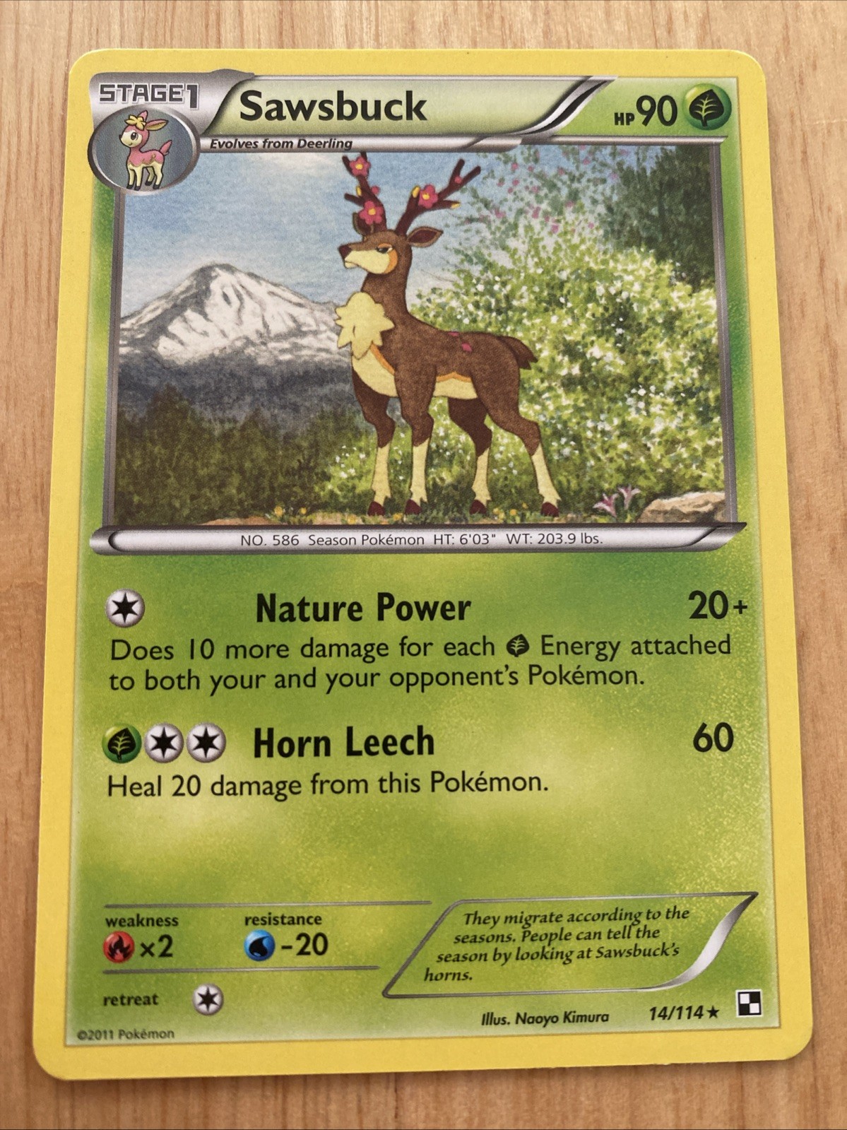 Sawsbuck 14/114 Black & White Regular Rare LP Pokemon TCG