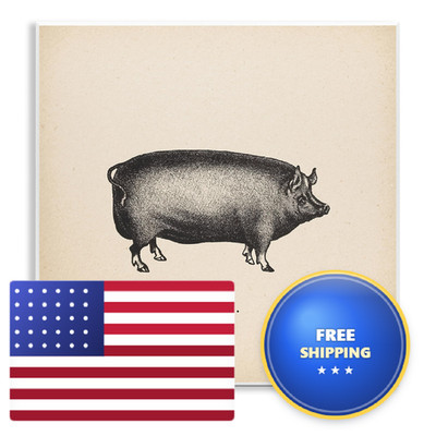 Stupell Industries Stupell Plaque Art Bk-348_Wd_12X12