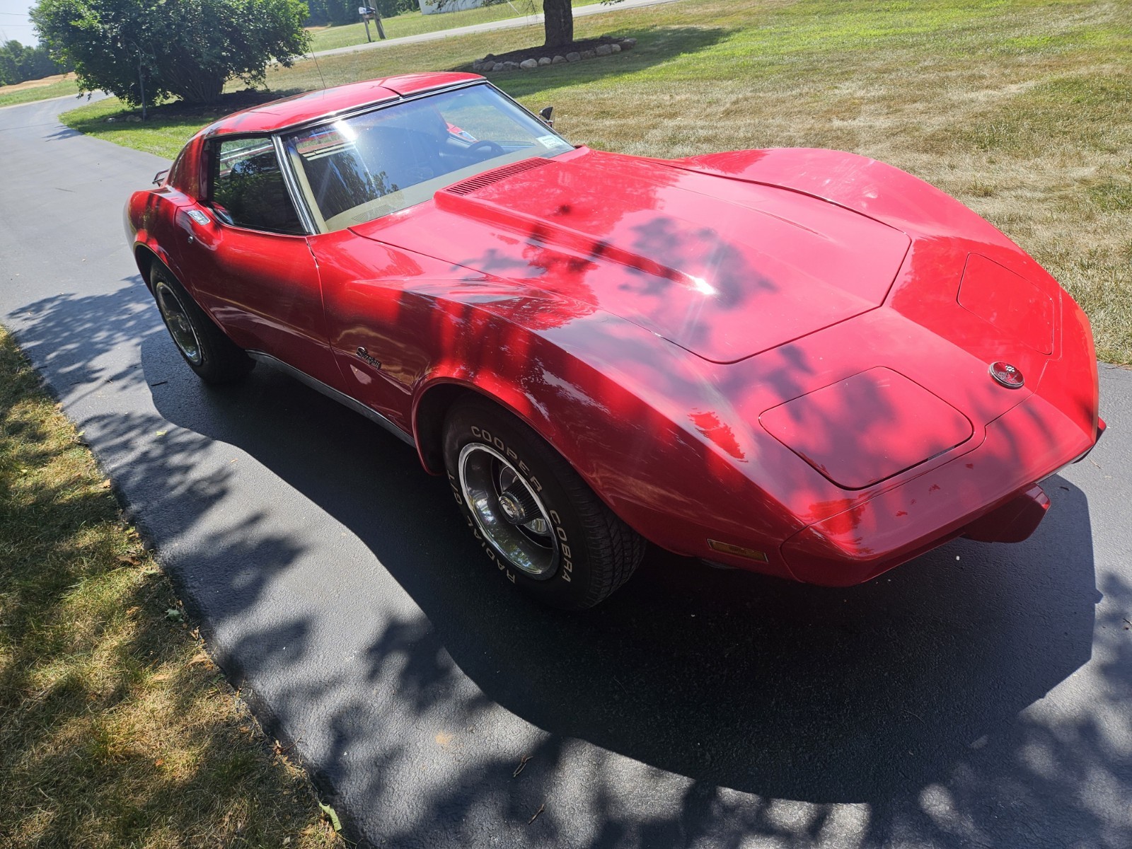 1976 Red Chevrolet Corvette   | C3 Corvette Photo 2