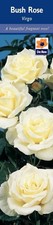 BARE ROOT Roses Fragrance Collection - Mixed Rose Bush Strong