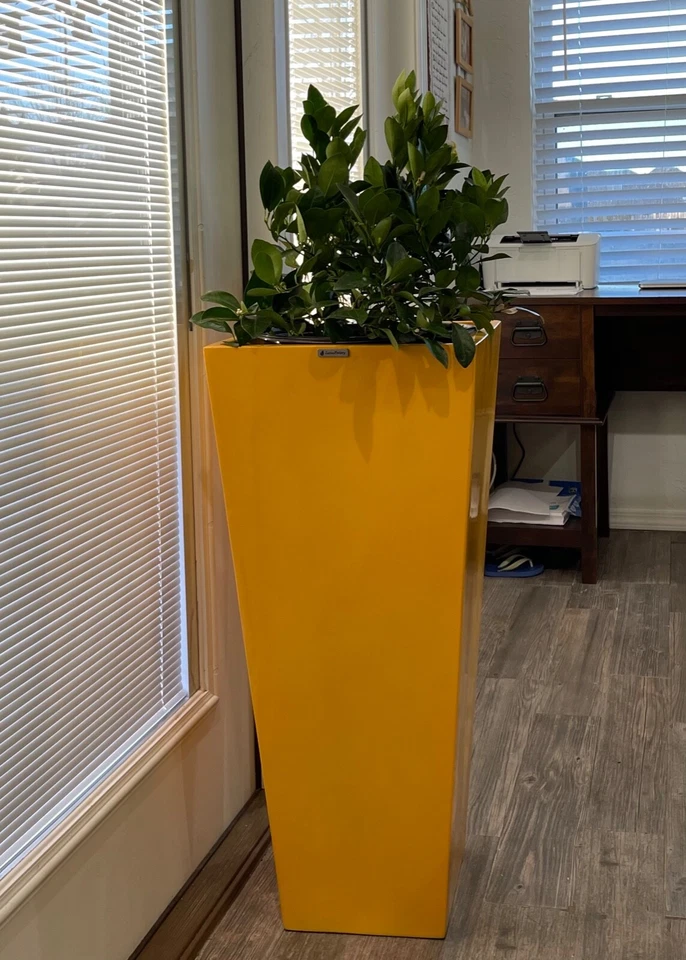 Maceta de fibra de vidrio de 23-47 pulgadas de alto, macetas, jardinera casera - amarilla Foto 3 de 4