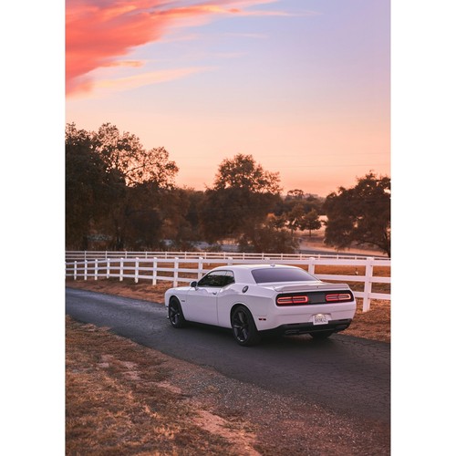 Dodge Challenger Art Print #008 - High Resolution Celebrate Iconic Automotive De - Picture 7 of 12
