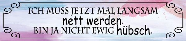 Holzschild 10X46 Cm Ich Muss Mal Langsam Nett Werden Deko Geschenk Schild-image