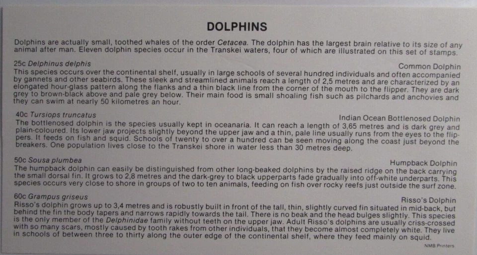 FDC TRANSKEI 1991-92 #257 82 delfines*aves*héroes de la medicina*fósiles*aves acuáticas Foto 2 de 4
