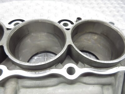 00 - 03 Kawasaki Ninja Zx9r ZX 9 Cylinder Bores Jug 11005-1909