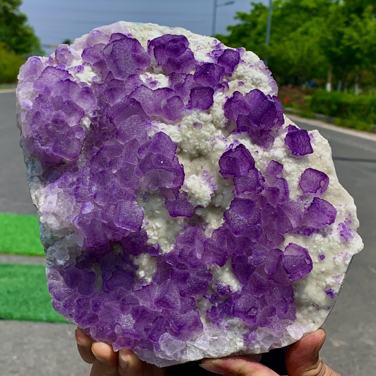 5.95LB Natural Purple Fluorite Crystal Specimen from China