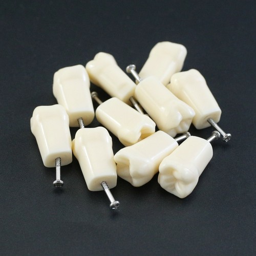 Dientes dentales Kilgore Nissin 200 #11 #21 #16 #26 #36 UR1 UR6 para Typodont M8012 - Imagen 27 de 54