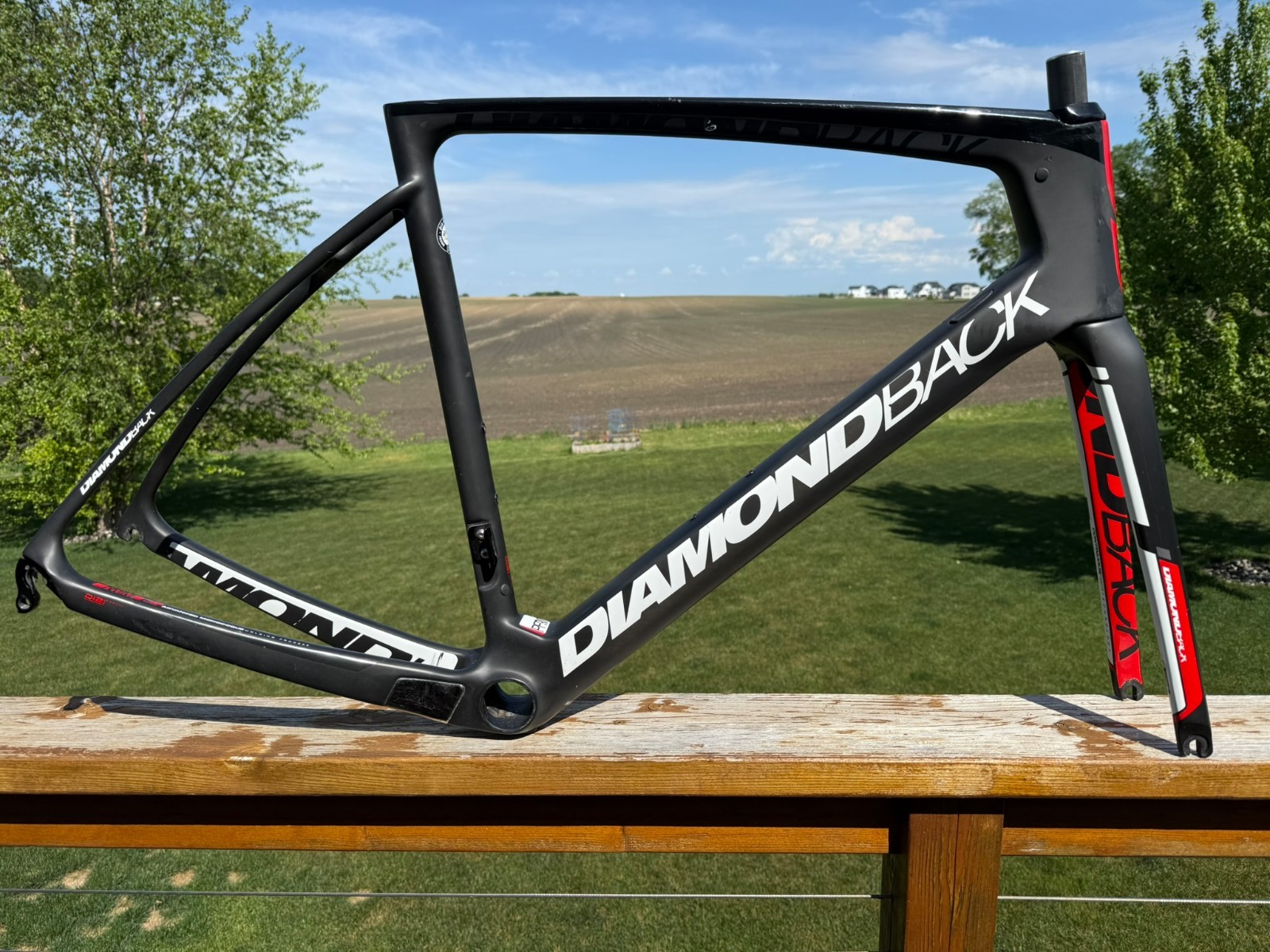 Diamondback Podium Equipe full carbon frameset, smooth and fast, M, vgc