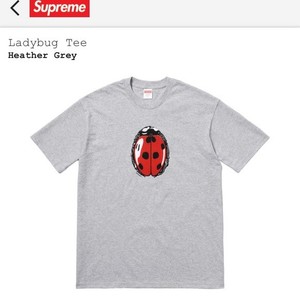 supreme ladybug