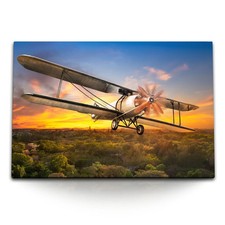 Quadro su tela 120x80 cm aereo ad elica aereo giungla