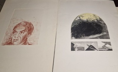 LITHOGRAPHIEN GRAVUREN - ANNA BONOMO API. ENZO FEDERICI