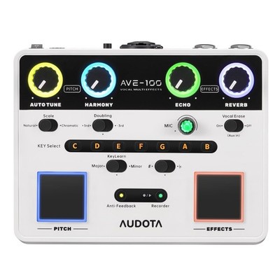AVE-100 Multi-Effect Vocal Processor - Triple Intelligent Loop Cancellation, ...