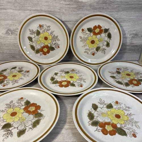 Set of 7 Old Brook Collection Dinner Plates 10.5" Stoneware Stonecreek Japan (7)