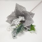 Bild 2 von 5