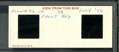 Vintage Stereo Realist Foto 3D Dia BLUMENBETT FLORAL JAMAIKA 1956 - Bild 2 von 3