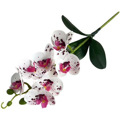 Phalaenopsis Orchidee 7 realistische Blüten 3 realistische Blätter filmbeschic