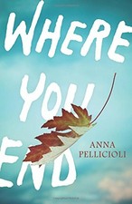 Where You End by Pellicioli, Anna