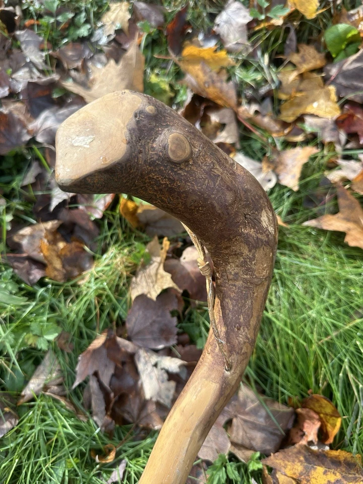 Bastón de madera de bruja de los Apalaches Bastón Apalaches Dicho Mantén alejados a los caminantes Foto 2 de 4