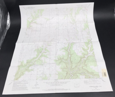 1993 Champagne Springs CO Quadrangle Geological Survey Topo Map 22'' x 27'' USGS