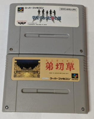Nintendo Super Famicom Lot of 2 - Otogirisō- CUcx35